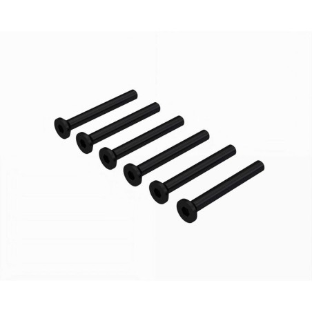 Flat Head Screw M2.5x22mm (6)