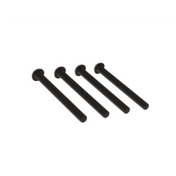 Button Head Screw M4x43mm (4)