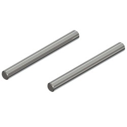 Hinge Pin 3x31mm (2): 4x5