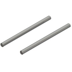 Hinge Pin 4x63mm (2): 4x5