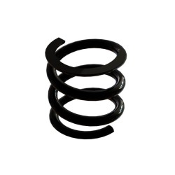 Slipper Spring: 4x5