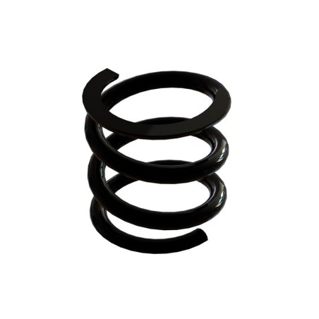 Slipper Spring: 4x5