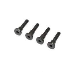 Hinge Screw Truggy Cage SCX6 Honcho