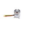 5065 Brushless Motor 800Kv: V1200