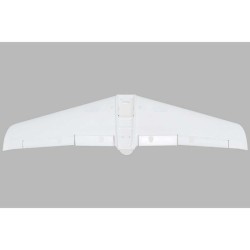 Painted Wing  V1200