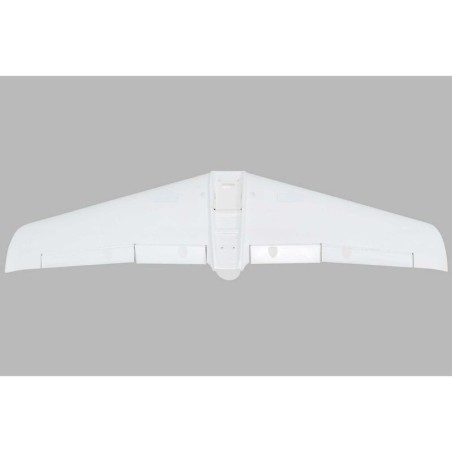 Painted Wing  V1200