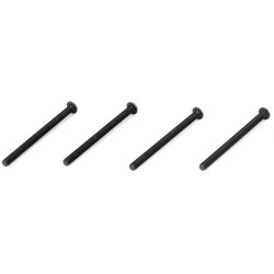 Button Head Screws M3 x 40mm (4)