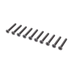 Flat Head Screws M4 x 30mm (10)
