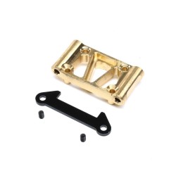 Front Pivot Brass +30g: 22 5.0