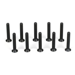 Flathead Screw M3 x 20mm (10)