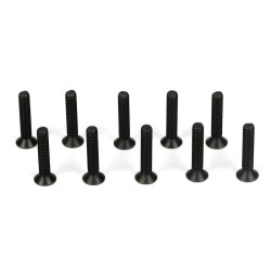 Flathead Screw M3 x 16mm (10)