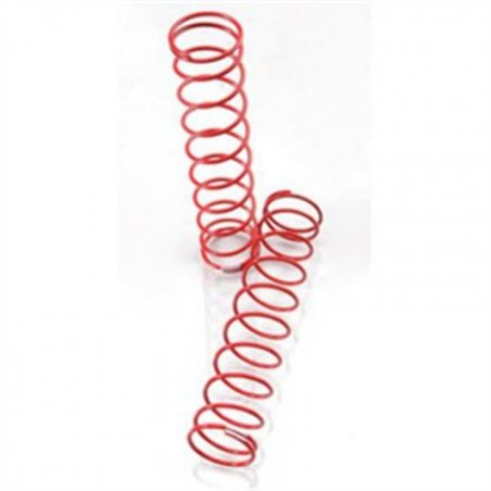 Springs Rear Red (2)