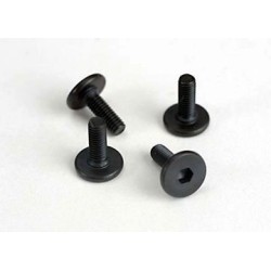Skruv M3x10mm Platt Insex (6)
