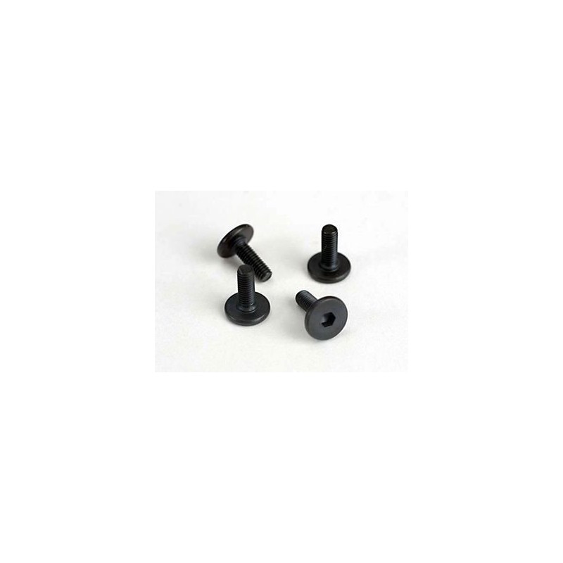 Screws M3X10mm Flat-head Hex Socket (6)