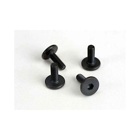 Screws M3X10mm Flat-head Hex Socket (6)