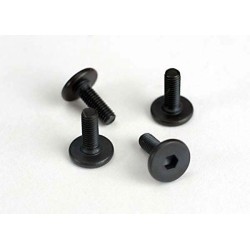 Screws M3X10mm Flat-head Hex Socket (6)