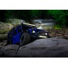 Winch Set with Remote TRX-4/6