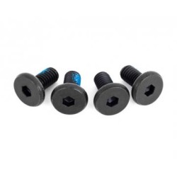 Screws Motor Mount (4) Sledge