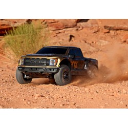 Ford F-150 Raptor-R VXL-4s Ultimate 4WD 1/10 RTR TQi LED Fox SE Gold