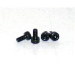 Needle Valve Screws 3x6 (4pcs)    45 EVO.6