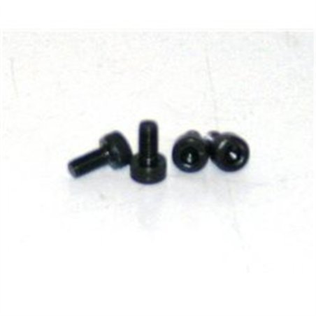 Needle Valve Screws 3x6 (4pcs)    45 EVO.6