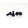 Needle Valve Screws 3x6 (4pcs)    45 EVO.6