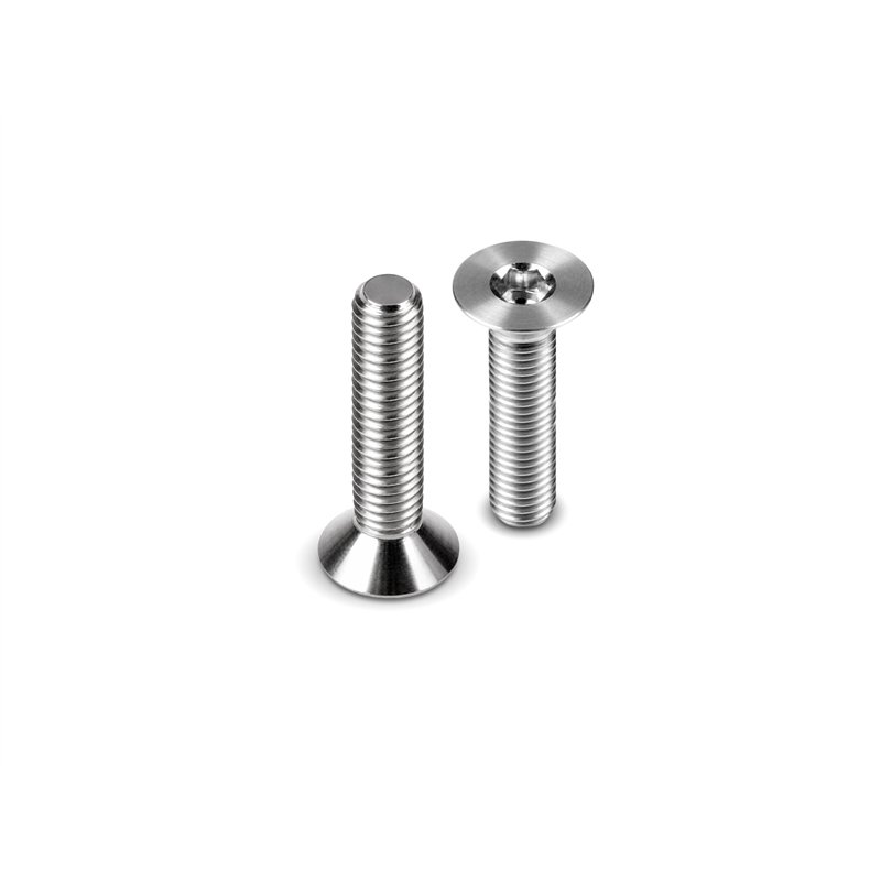 HUDY TITANIUM FLAT HEAD SCREW M3x20 (4)