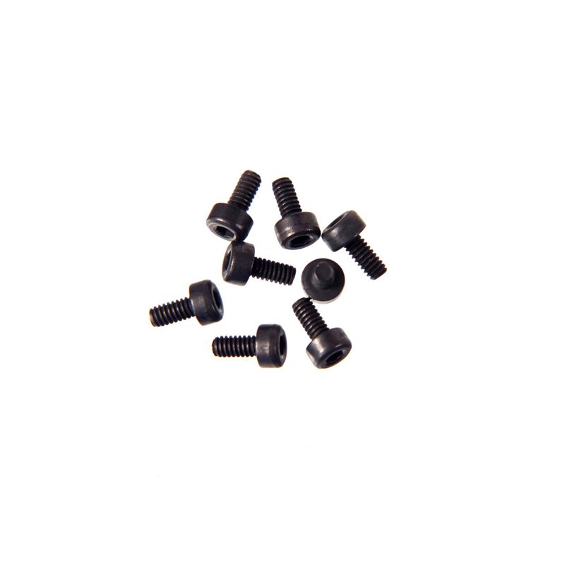 M2 X 4 CAP SCREW