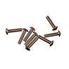 M3X12 B/H TITANIUM SCREW (8)