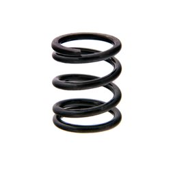 SERVO SAVER SPRING MGT
