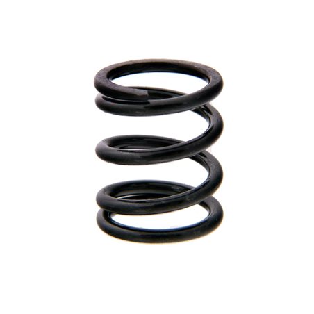 SERVO SAVER SPRING MGT