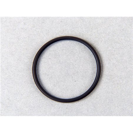 BRENNRAUMEINSATZ JX21-B06 O-Ring