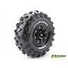 Däck &amp, Fälg CR-ROWDY 2,2" Svart (2)