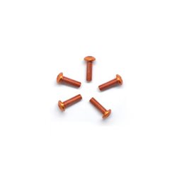 ALU SCREW ALLEN ROUNDHEAD M3X10 ORANGE (7075) (5)