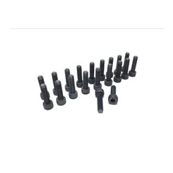 Extreme Cup Head Screw set M4x15 (20)