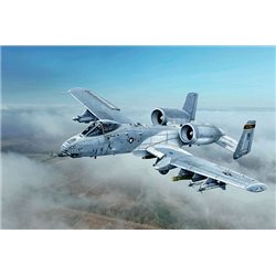 1:48 A-10C 'Blacksnakes'