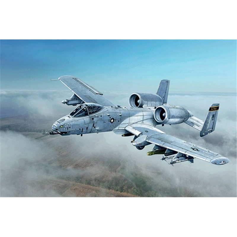1:48 A-10C 'Blacksnakes'