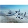 1:48 A-10C 'Blacksnakes'