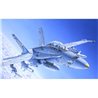 1:72 F/A-18C/D WILD WEASEL