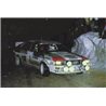 1:24 AUDI QUATTRO RALLY