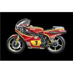 1:9 Suzuki RG 500 XR27 1978 Team Heron