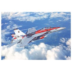1:48 F/A-18F U.S. Navy Special Colors