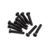 Round Head Screw M2x10 (10 )