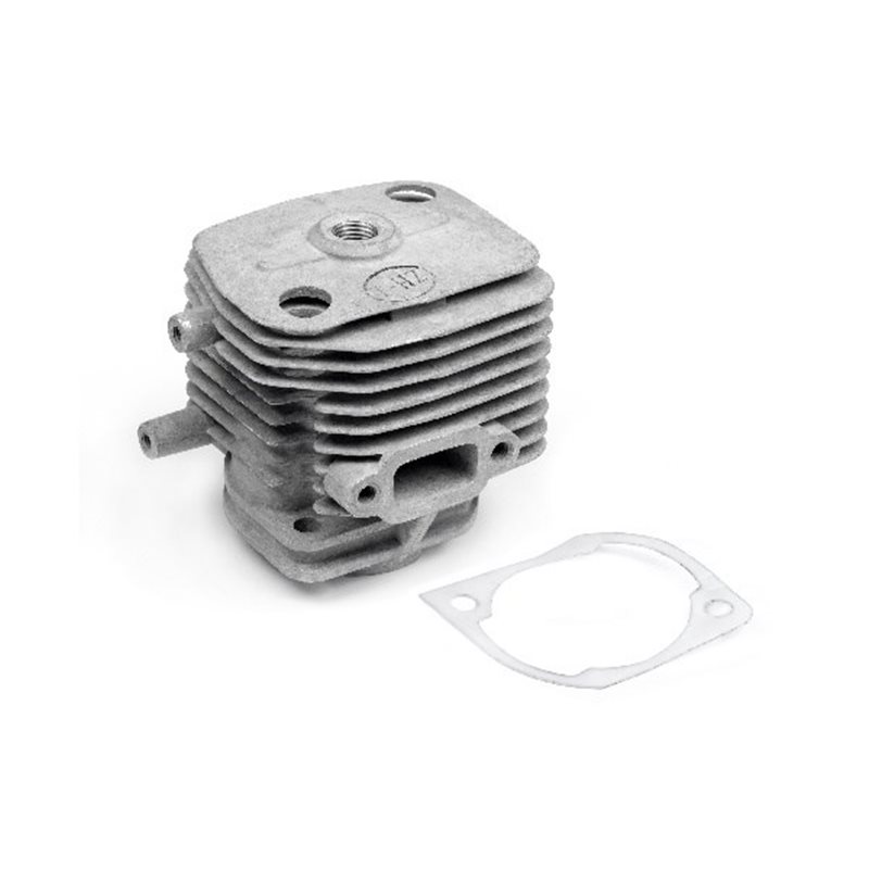 CYLINDER HEAD AND GASKET ME - 342