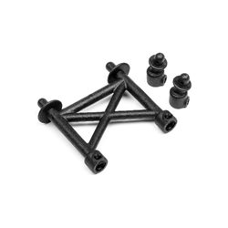 BODY POST SET (ION RX)