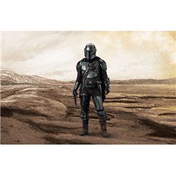 The Bounty Hunter: The Mandalorian