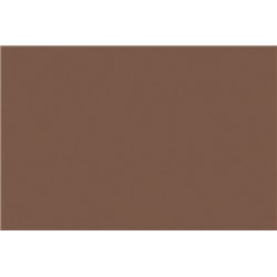 Model Air 17ml US earth red