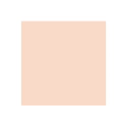 Mecha Color - Light Flesh 17 ml.