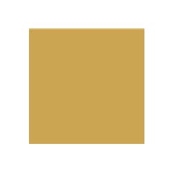 Model Air 17ml US interior yellow 