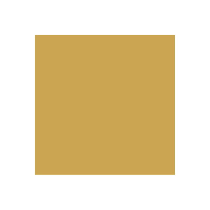 Model Air 17ml US interior yellow 